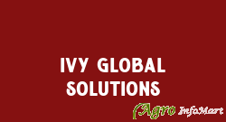 IVY Global Solutions pune india