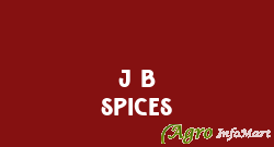 J B Spices vadodara india