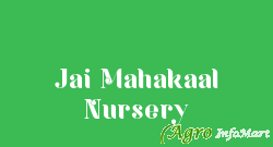 Jai Mahakaal Nursery