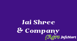 Jai Shree & Company delhi india