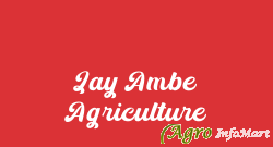 Jay Ambe Agriculture