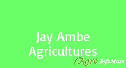 Jay Ambe Agricultures