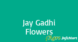 Jay Gadhi Flowers