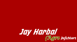 Jay Harbal