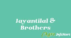 Jayantilal & Brothers
