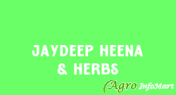 Jaydeep Heena & Herbs