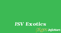 JSV Exotics delhi india