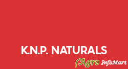 K.N.P. Naturals delhi india