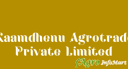 Kaamdhenu Agrotrade Private Limited