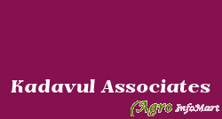 Kadavul Associates chennai india