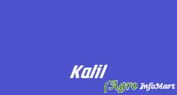 Kalil jaipur india