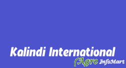 Kalindi International