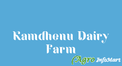 Kamdhenu Dairy Farm surat india