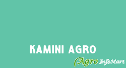 Kamini Agro