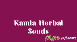 Kamla Herbal Seeds chennai india
