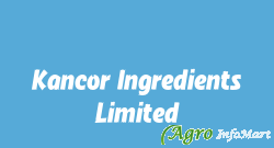 Kancor Ingredients Limited mumbai india