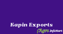 Kapin Exports surat india