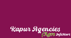 Kapur Agencies