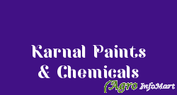 Karnal Paints & Chemicals karnal india