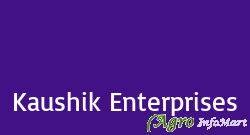 Kaushik Enterprises