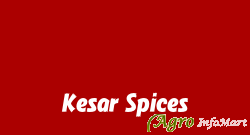 Kesar Spices