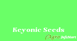 Keyonic Seeds