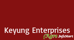 Keyung Enterprises mumbai india