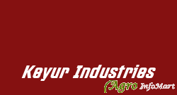 Keyur Industries patan india