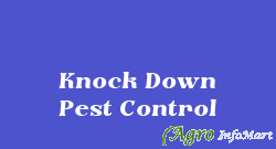 Knock Down Pest Control