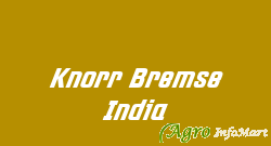 Knorr Bremse India