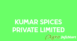 Kumar Spices Private Limited ahmedabad india