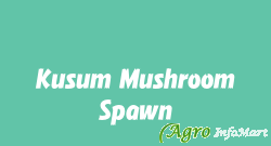 Kusum Mushroom Spawn