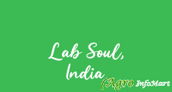 Lab Soul, India