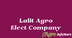 Lalit Agro Elect Company delhi india