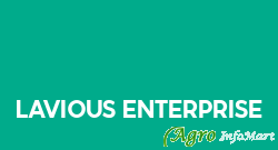 Lavious Enterprise ahmedabad india
