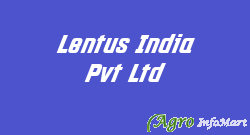 Lentus India Pvt Ltd 