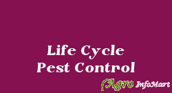 Life Cycle Pest Control pune india
