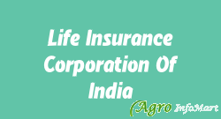 Life Insurance Corporation Of India pune india