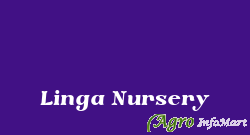 Linga Nursery