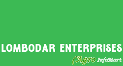 Lombodar Enterprises pune india