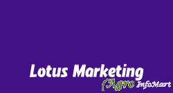 Lotus Marketing