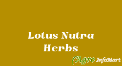 Lotus Nutra Herbs ahmedabad india