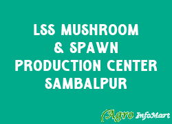 LSS Mushroom & Spawn Production Center Sambalpur rajnandgaon india