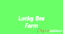 Lucky Bee Farm
