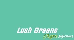 Lush Greens