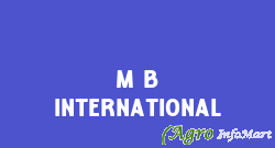M B International