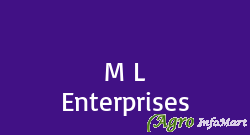 M L Enterprises