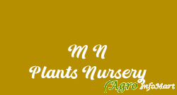 M N Plants Nursery