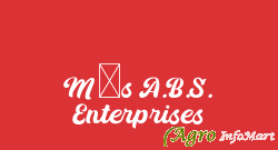 M/s A.B.S. Enterprises delhi india