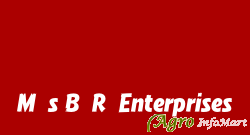 M/s B.R.Enterprises kanpur india